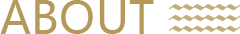 style='display:none;'